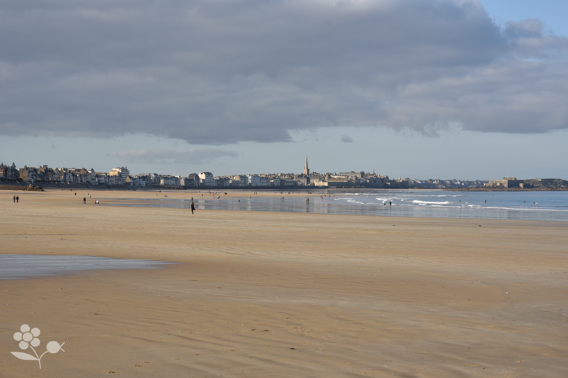 Saint Malo, plage à marée basse_13
