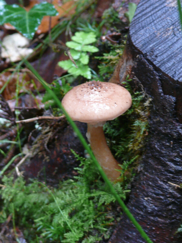 R1270691