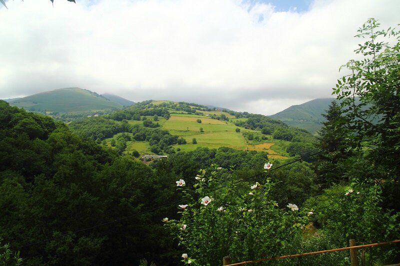 ROncevo