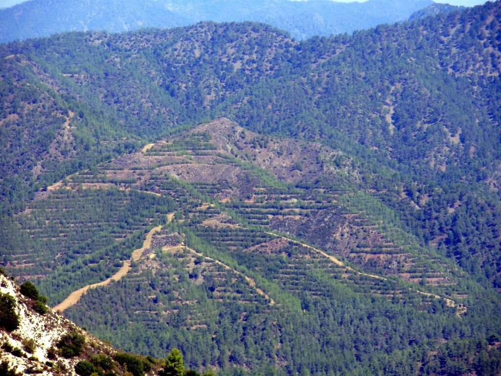 P7300128