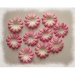 petites_marguerites_roses