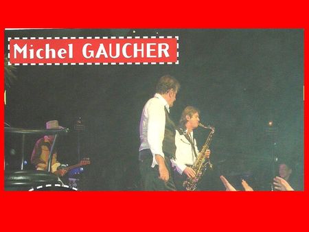 MONTAGES_MICHEL_GAUCHER