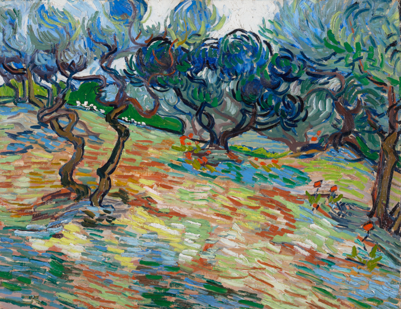 1 web Vincent van Gogh, Olive Trees, 1889, oil on canvas, National Galleries Scotland