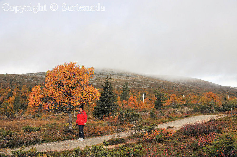 Taivaskero_Laukukero_Muonio_Pallas_Lapland_ (7)