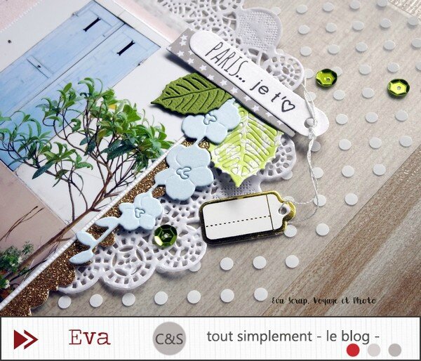 CS transparence (2) - Copie