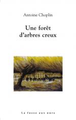 foret-darbres-creux-01