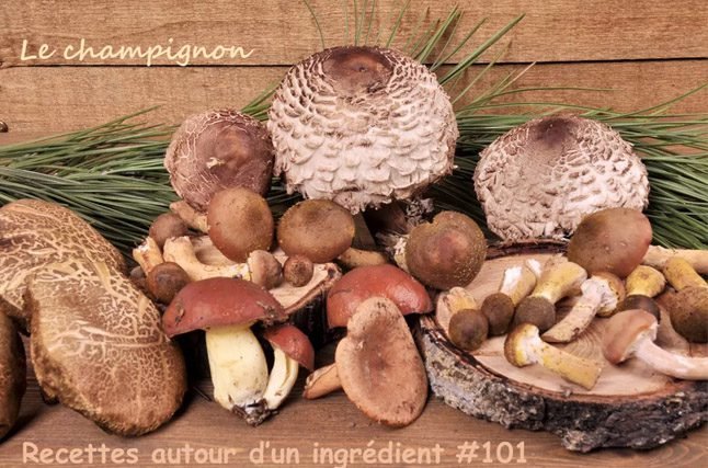 Y_champignon_recettes_autour_dun_ingredient_101_le_theme_24354540_copy