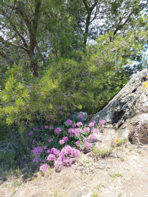 P1240908