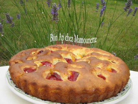 Gâteau aux prunes rougeâtres sauvages de juillet 005