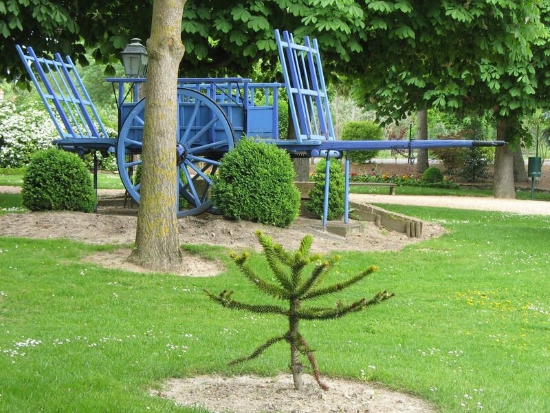 Loches, désespoir du singe