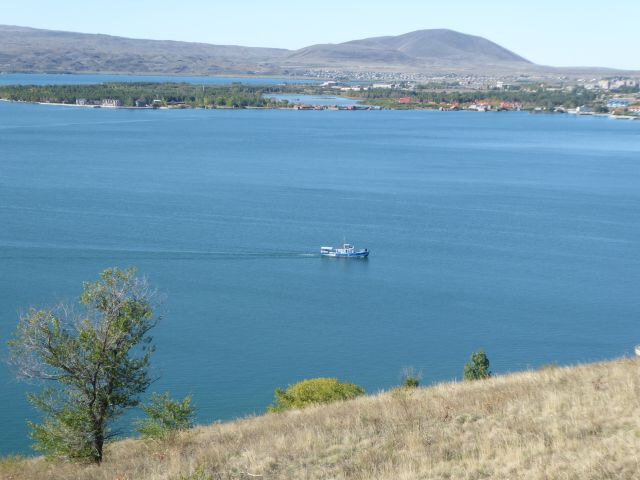 a19
