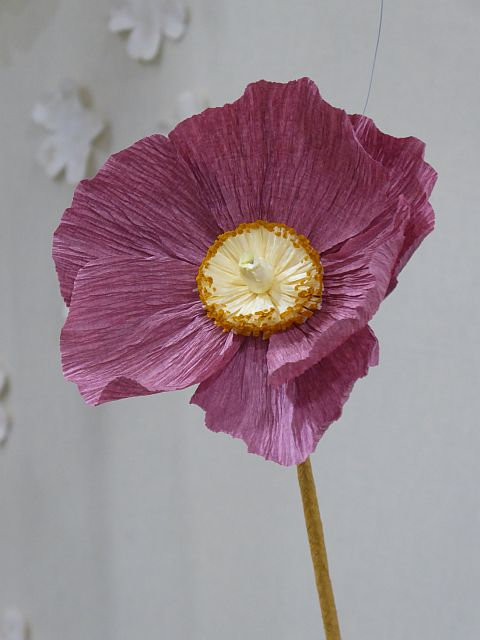 0 26