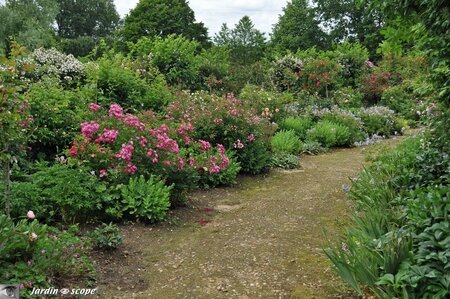 Jardin-François-0039