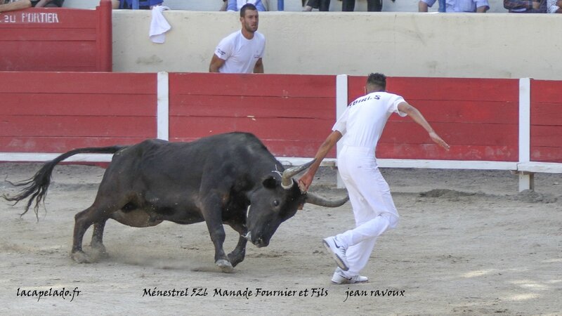 26 - photos de raphèles le 29 06 201420140701001926