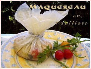 maquereau__22_