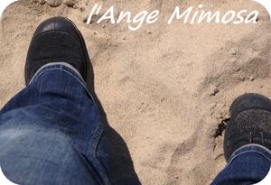 pieds_ange_mimosa