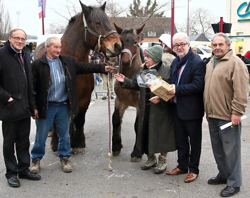 VITRINE CHEVAUX TRAIT DU NORD 2016 André Bar