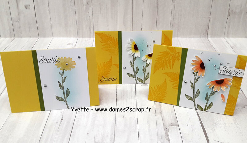 cartes marguerite 02