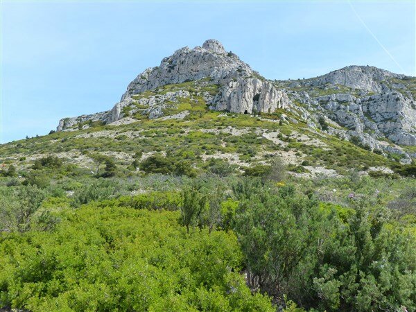P1120117