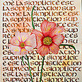 Calligraphie Marie-Jeanne