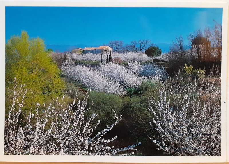 Terre et lumière de Provence - datée 2004 - écrite