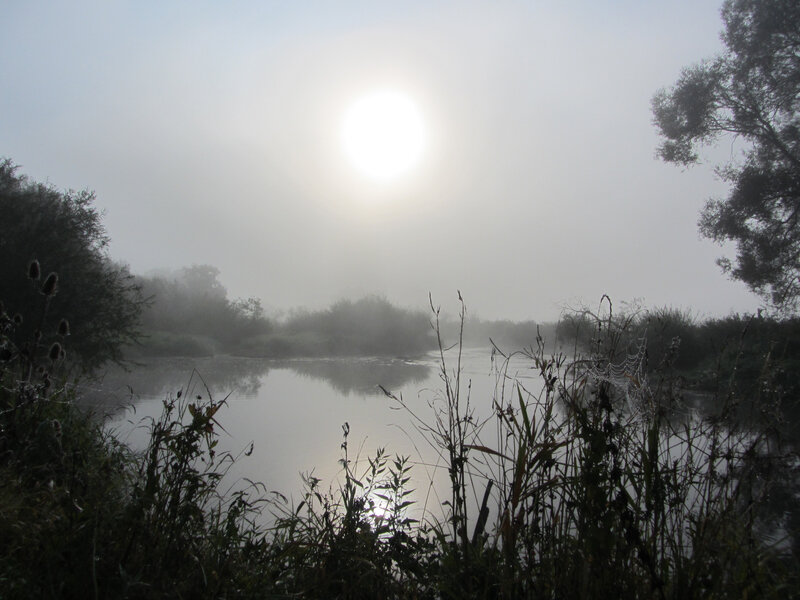 3-23a brouillard à Donaueschingen