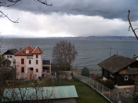 DSCF0739