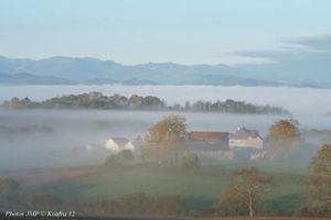 IMG_3713