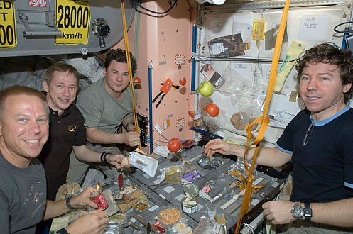 ISS-20_Crew_members_share_a_meal_at_a_galley_in_the_Unity_node_of_the_International_Space_Station-1