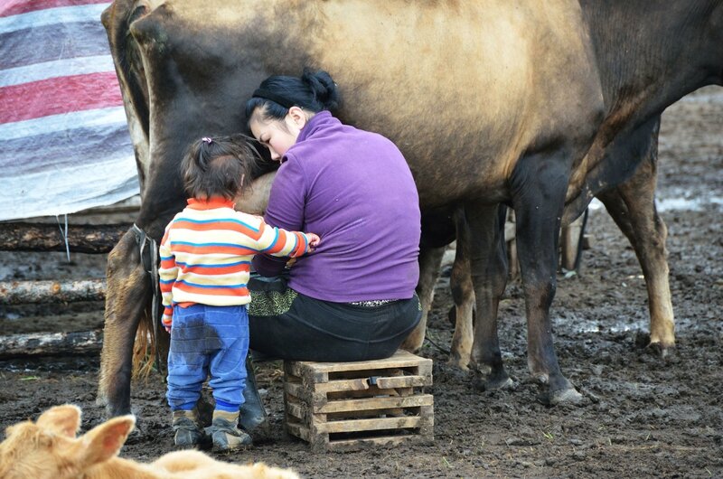 apprentissage déjà.