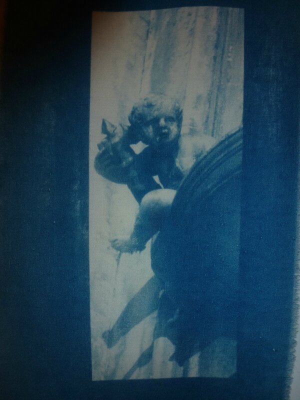 cyanotype 001