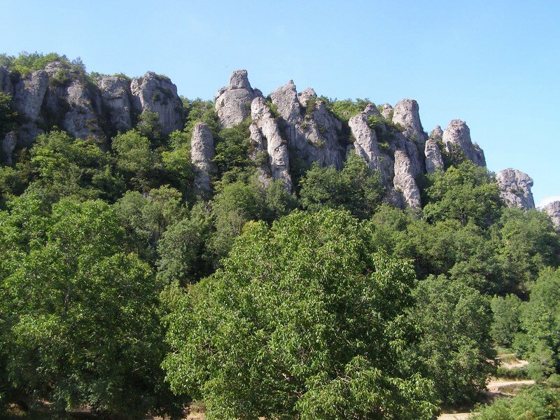 paysage