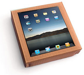 iPad en carton