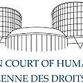 Arrêt contre la <b>GPA</b> rendu par la Cour Européenne des Droits de l’Homme le 24 janvier 2017