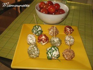 Boules_de_fromages_aux_aromates_pour_l_ap_ro_014