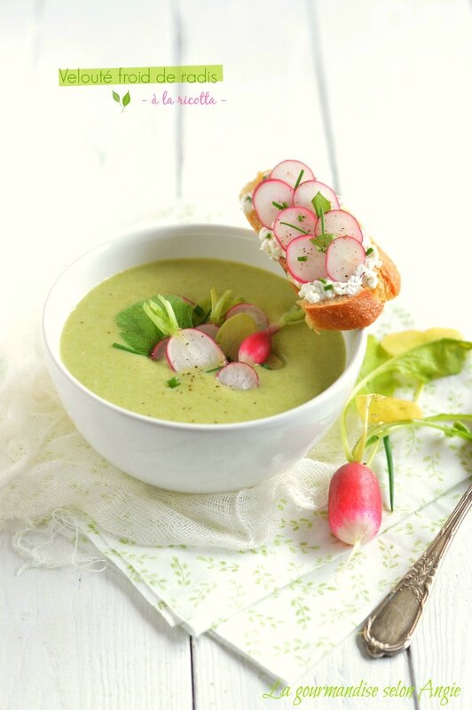 Veloute radis ricotta