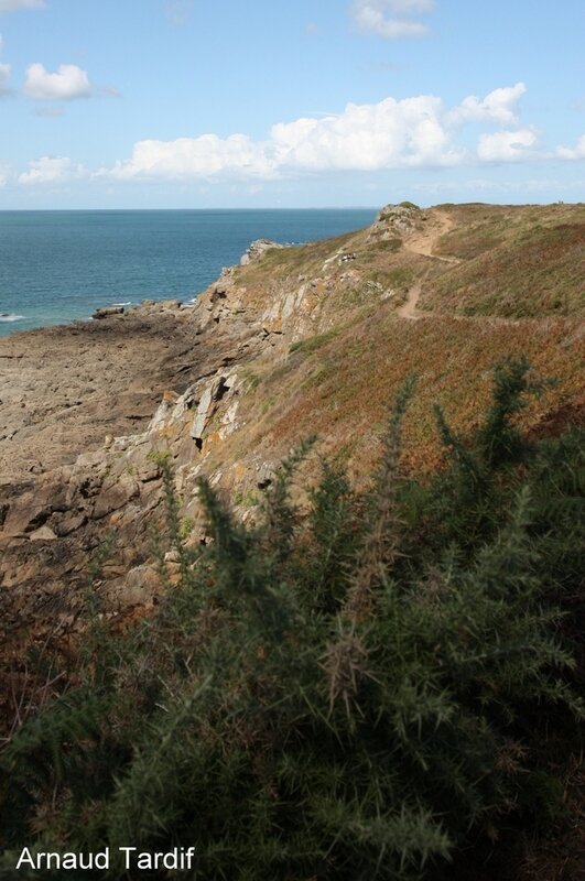 00148 Bretagne Saint-Coulomb - La Côte d'Emeraude - La Pointe de Rochefroide