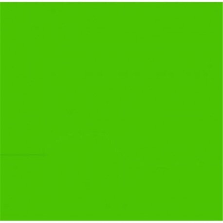 feuille-de-flex-vert-clair