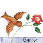 bjr_oiseau_fleur
