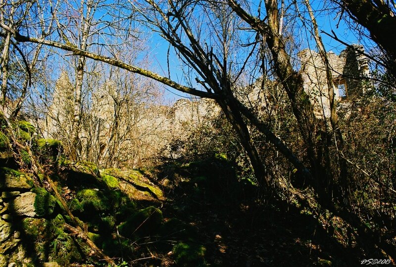 Château de Montfa (81)