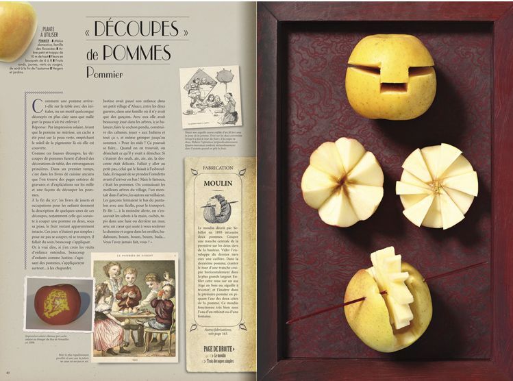 armengaud_pommes
