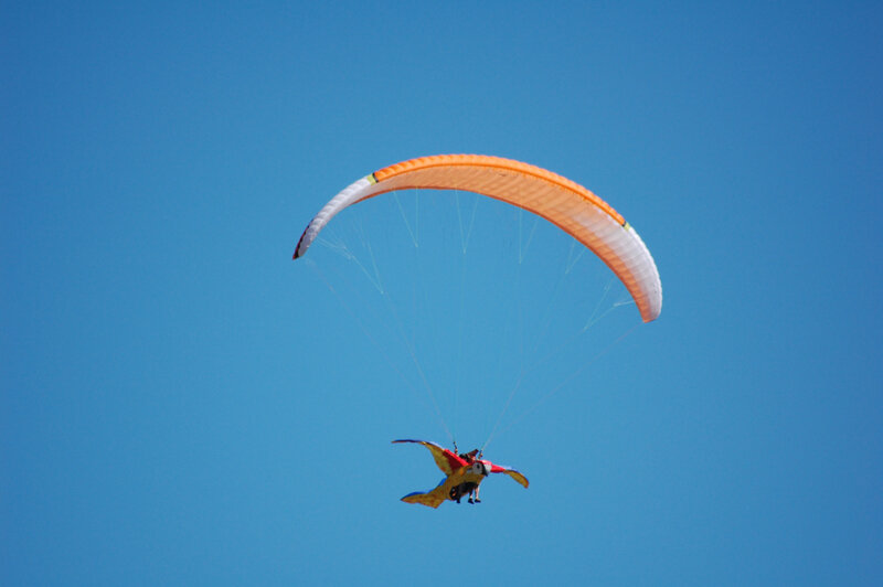 zoom (227)
