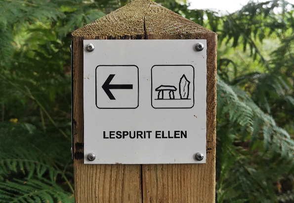 menhirs de Lespurit Ellen 1