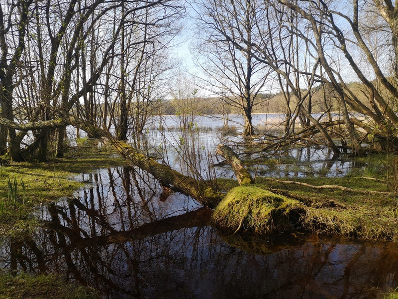 tour du lac de paimpont 2023 (4)2