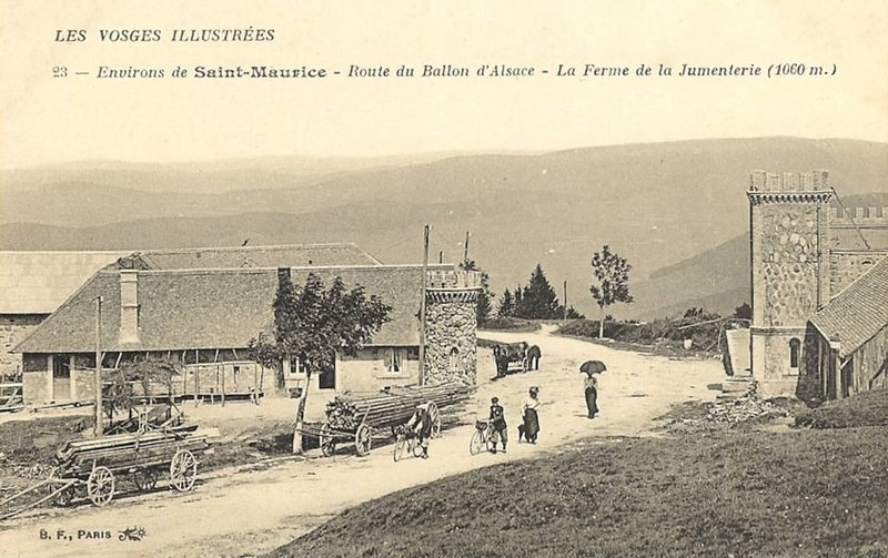 CPA Ballon d'Alsace La Jumenterie