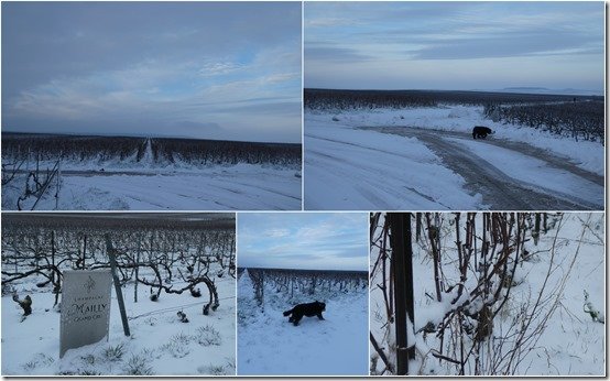 neige le 18 janvier 20243