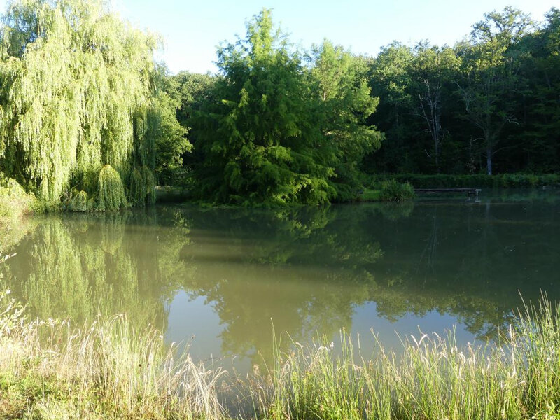 P1020371