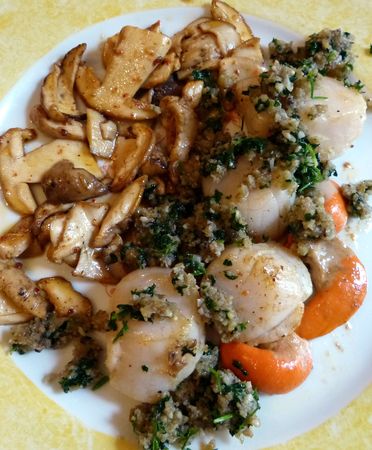 stjacques 004