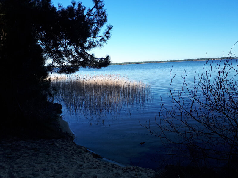 20190203_160628