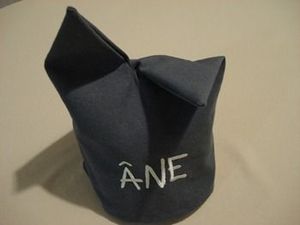 bonnet_ane